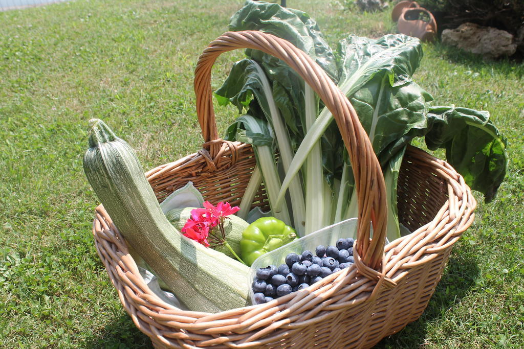 Willa Agriturismo L'Ciabot Paesana Zewnętrze zdjęcie